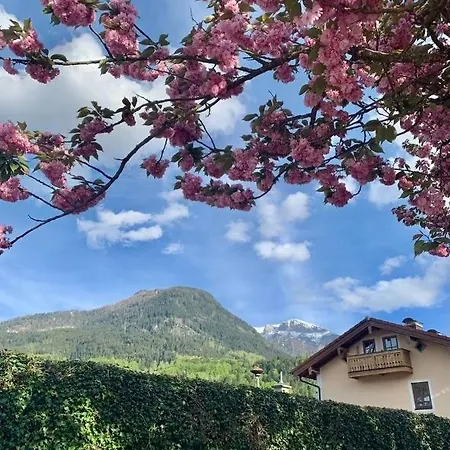 Koenigliche Auszeit Appartement